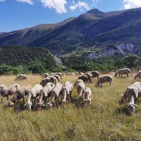 La Peyregoune, Logement En Pleine Nature Et Table D'Hotes Blieux Buitenkant foto