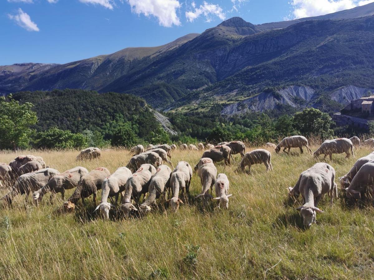 La Peyregoune, Logement En Pleine Nature Et Table D'Hotes Blieux Buitenkant foto